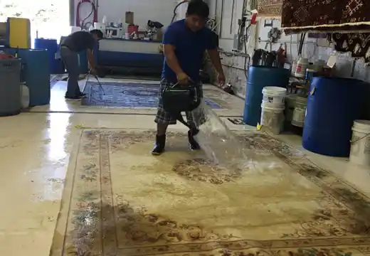 Cleaning Area Rug Boca Raton