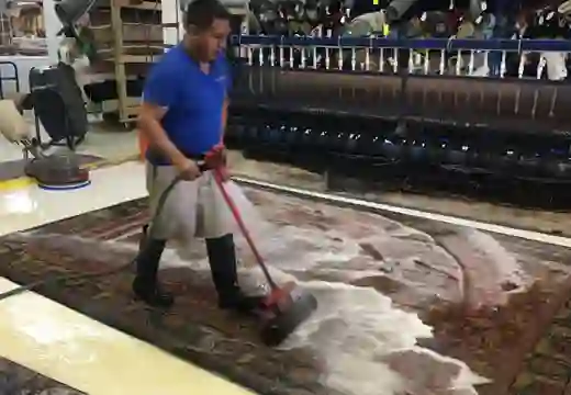 Pet Odor Stain Removal Boca Raton Pet Odor Stain Removal Boca Raton
